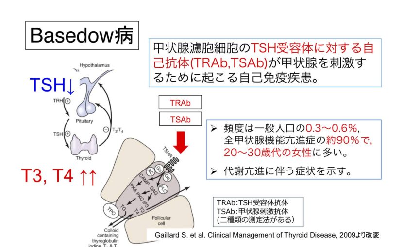 バセドウ病の治療の実際 当真内科医院
